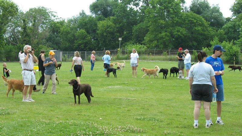 Offer Safe Socialization Opportunities