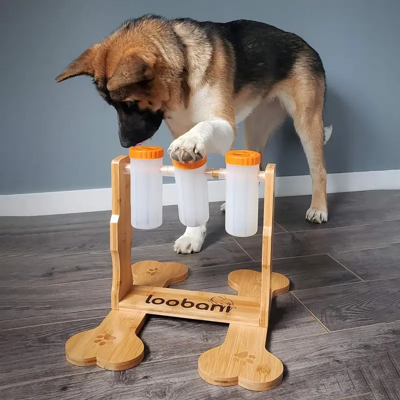 Provide Interactive Toys