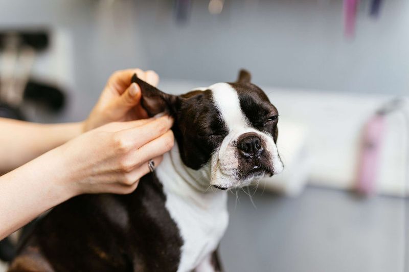 Neglecting Ear Cleaning
