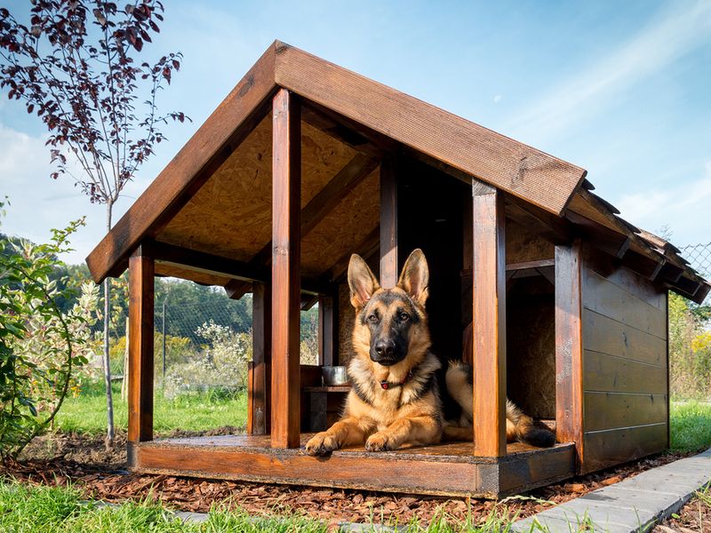 Not Providing Adequate Shelter