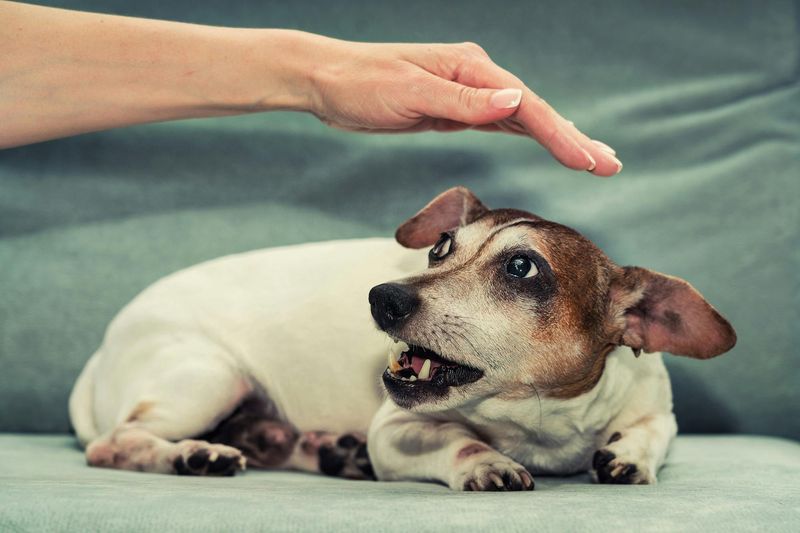 Overreacting to Behavior