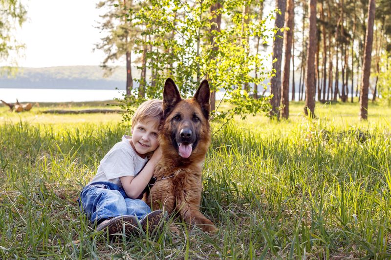 Intelligent Companions