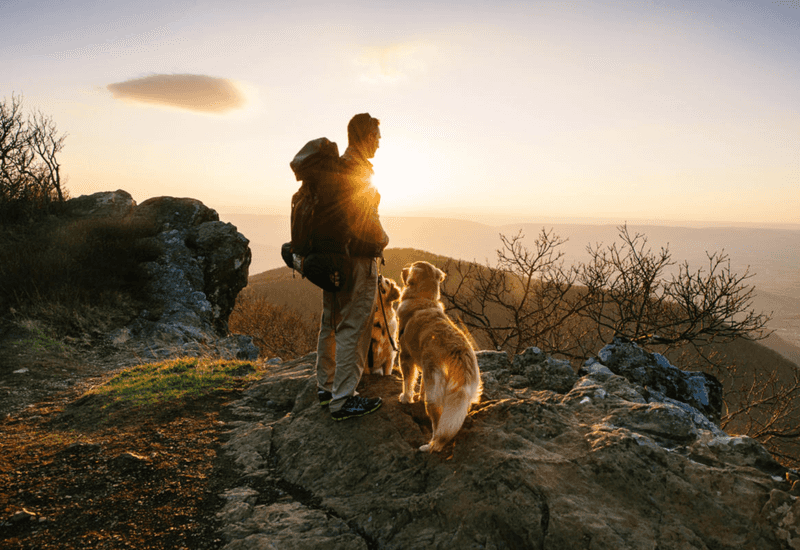 Adventure Partners