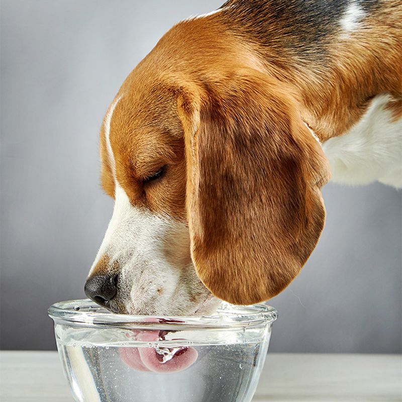 Hydration