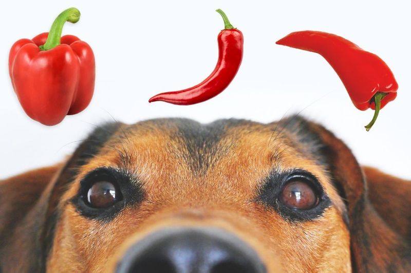 Chili Peppers