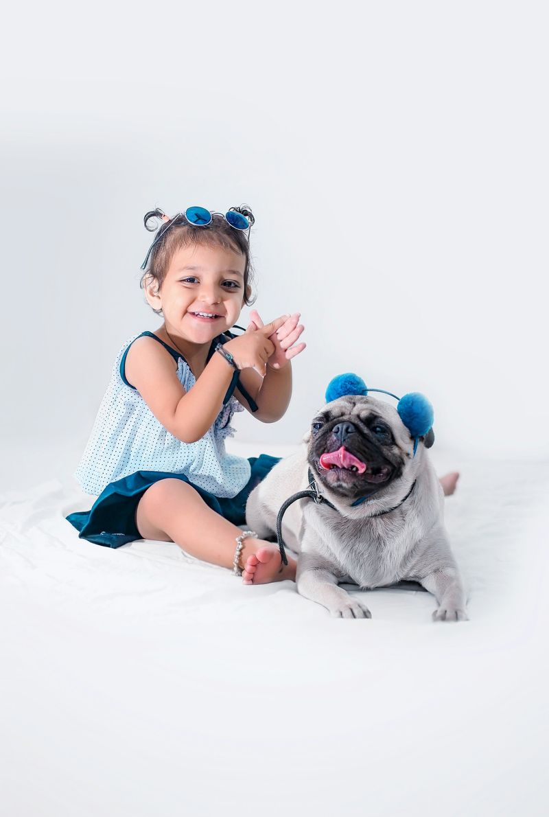 Pug