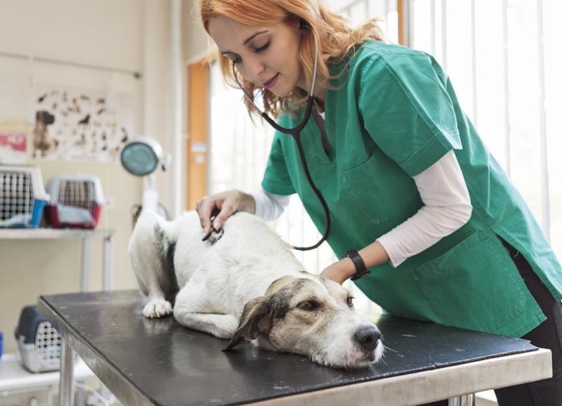 Urinary Blockage