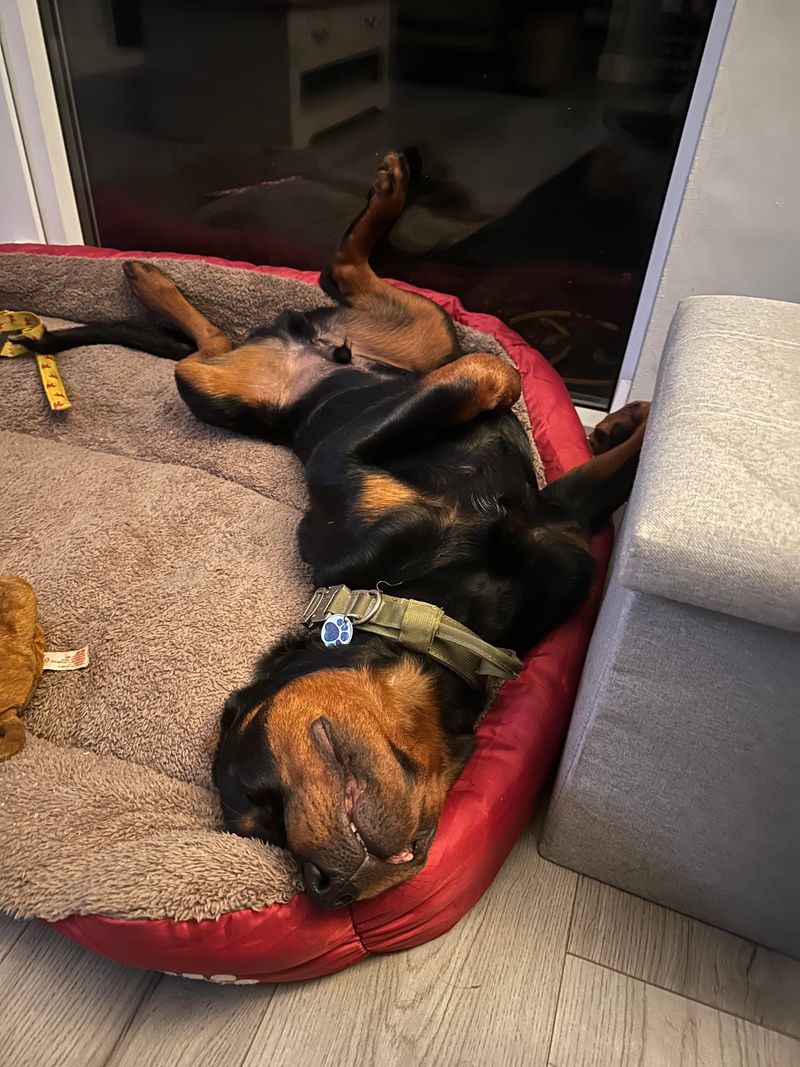 Relaxed Sleeping Posture