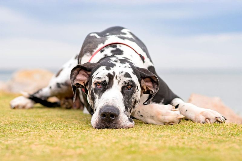 Relaxed Ears