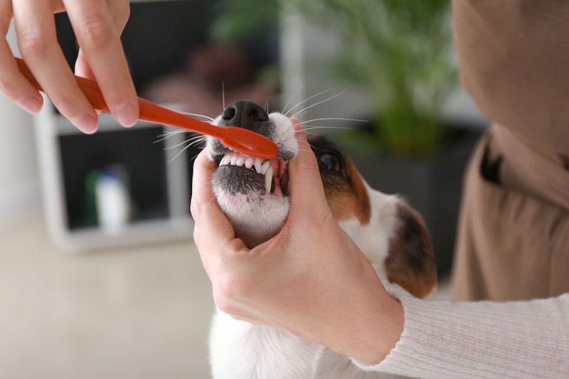 Dental Issues