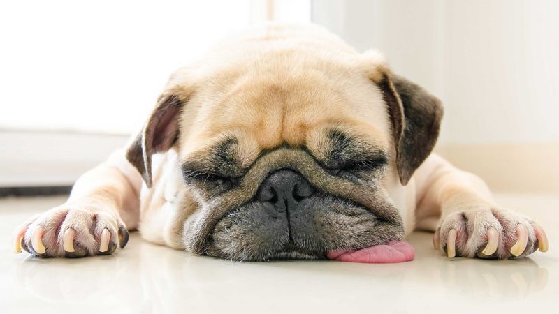 Low Energy and Fatigue