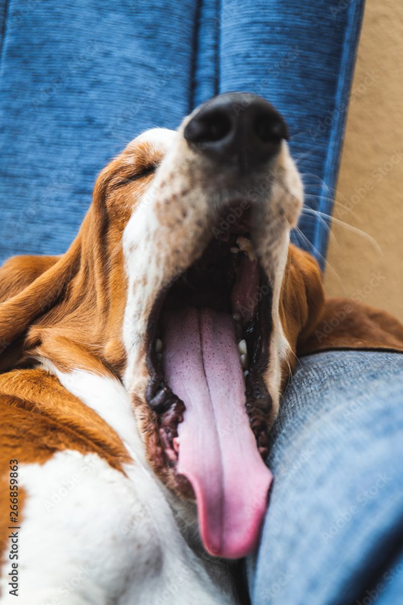 Yawning