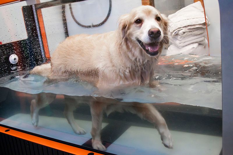 Hydrotherapy