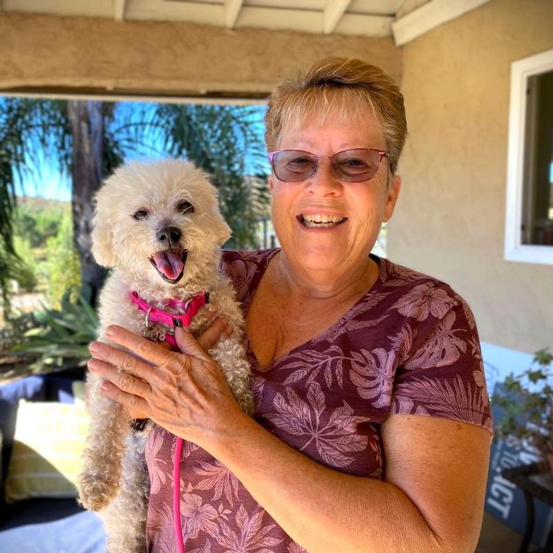 Maltese