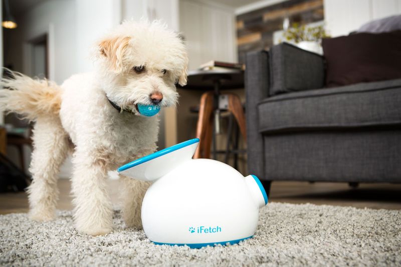iFetch Interactive Ball Launcher