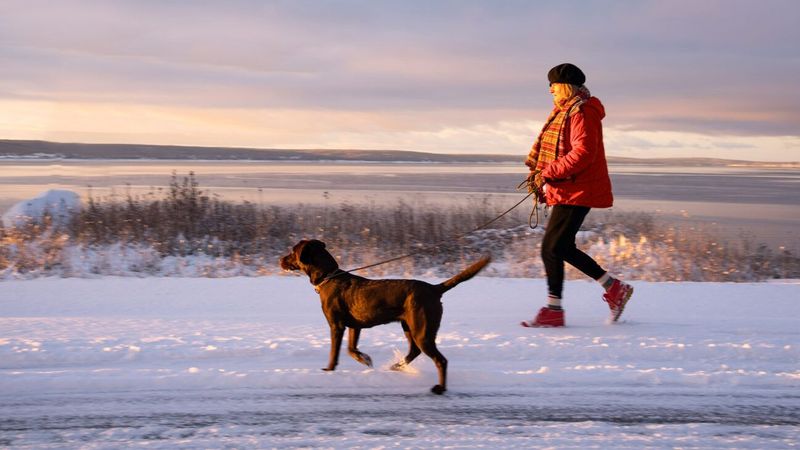 Increased Physical Activity
