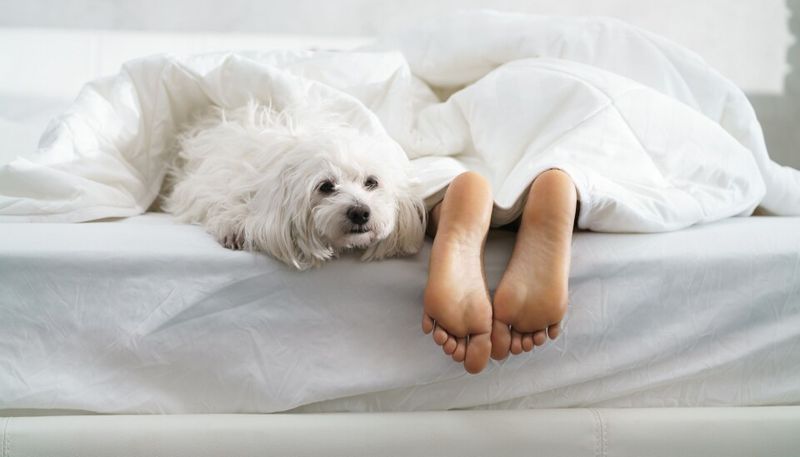 Change in Sleep Patterns
