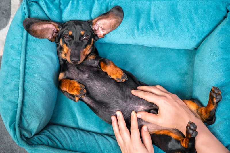 Relaxed Body Language