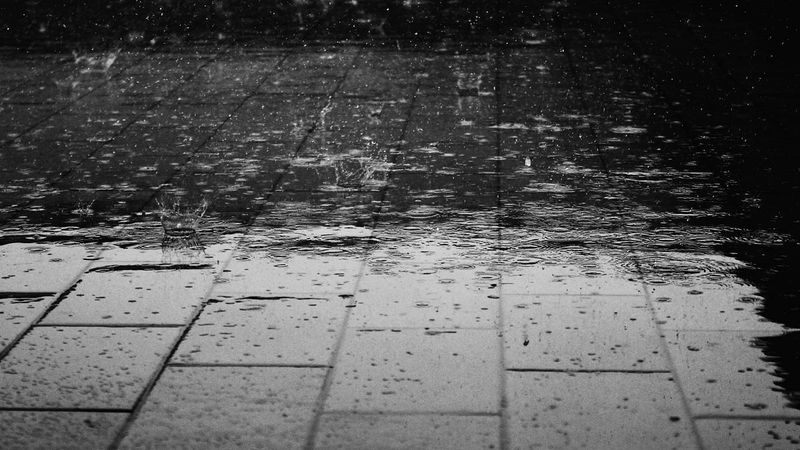 Gentle Rainfall