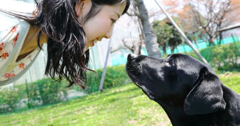 Soulful Eye Contact