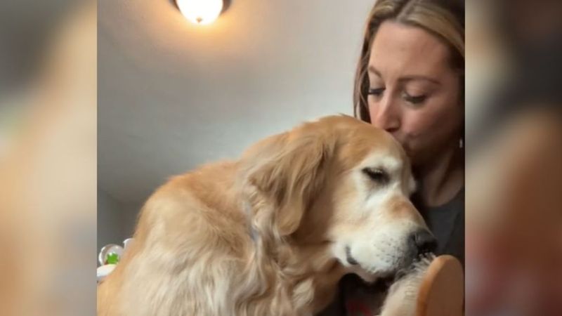 Unconditional Love