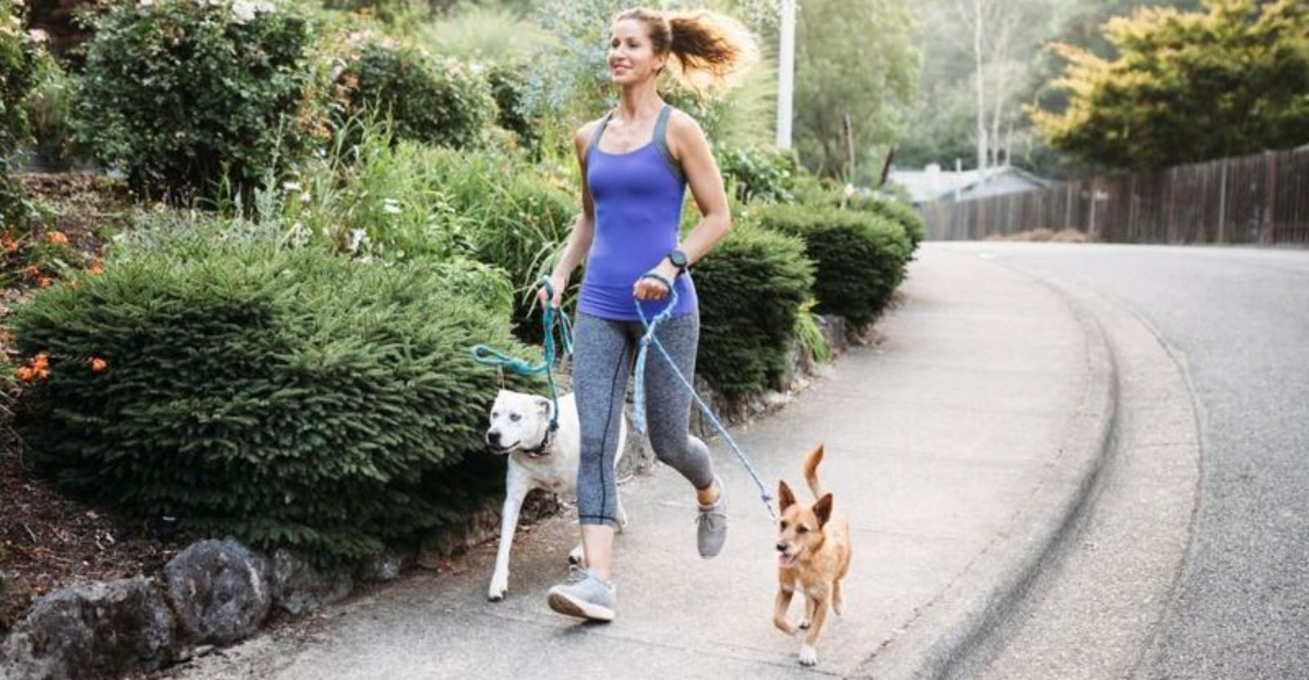 14 Reasons Why Walking Your Dog Is Crucial to Their Health