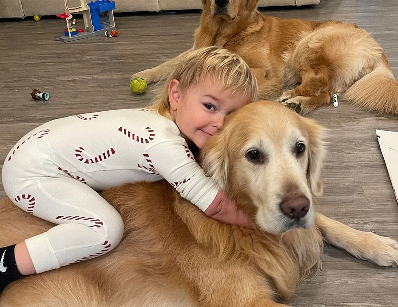 Golden Retriever
