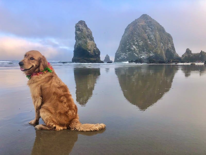 Cannon Beach, Oregon