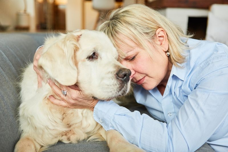 Comforting Nuzzles