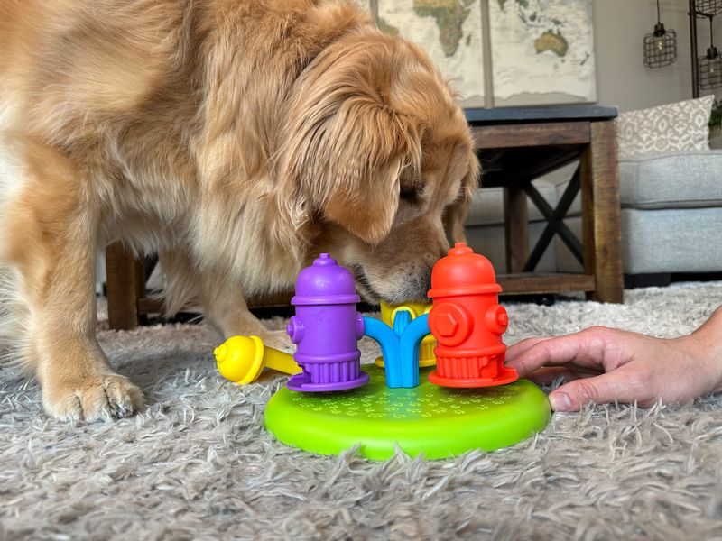 5. Engaging Toys