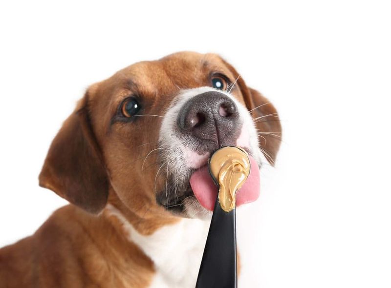 Peanut Butter