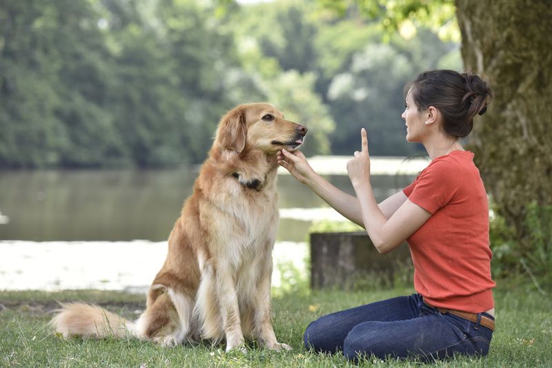 7. Clear Commands
