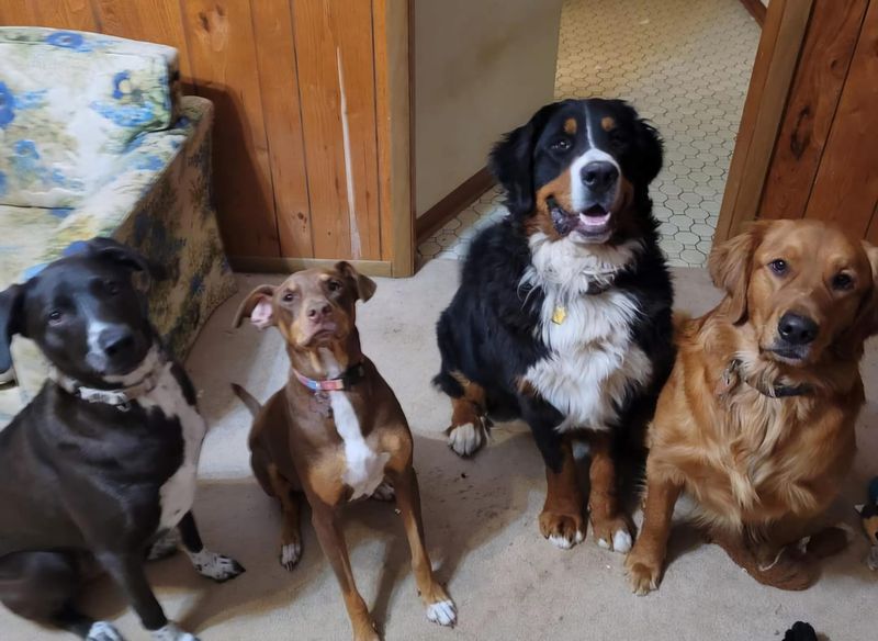 Curious First Meeting