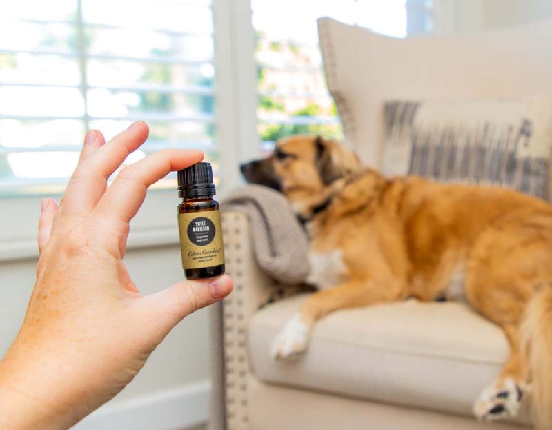 Aromatherapy with Essential Oils