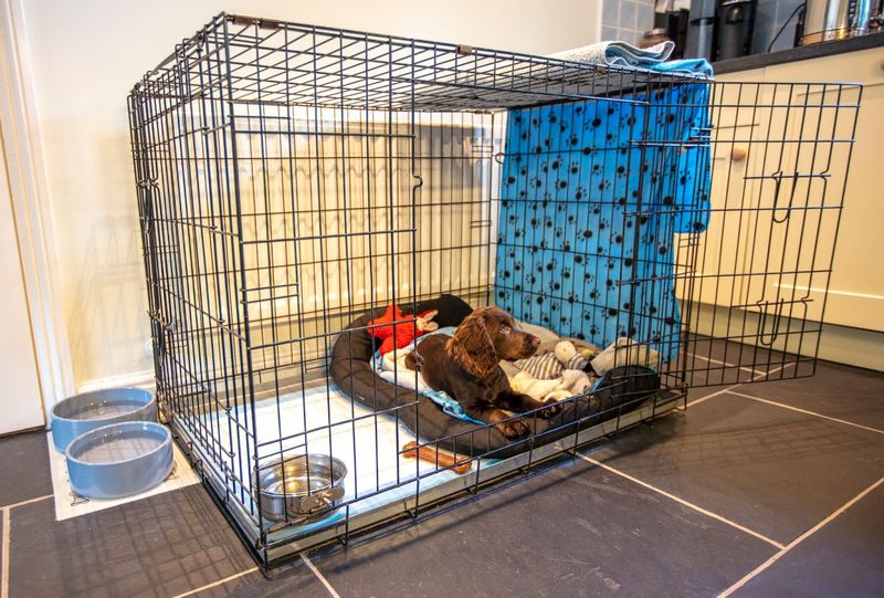 Create a Safe Space at Home