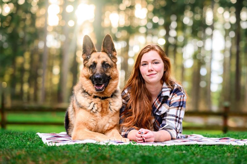 Energetic Partner: The German Shepherd