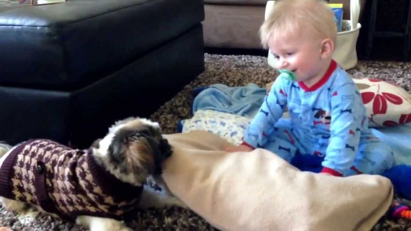 Playful Personality