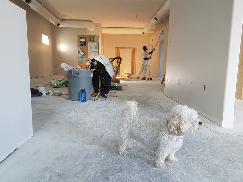 During a Home Renovation