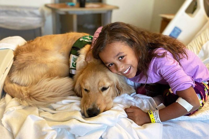 Therapy Dog Work