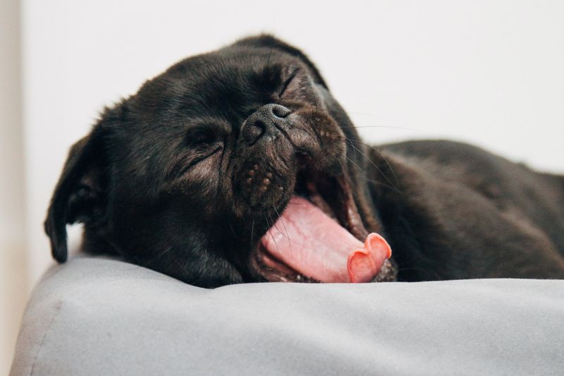 Increased Sleep