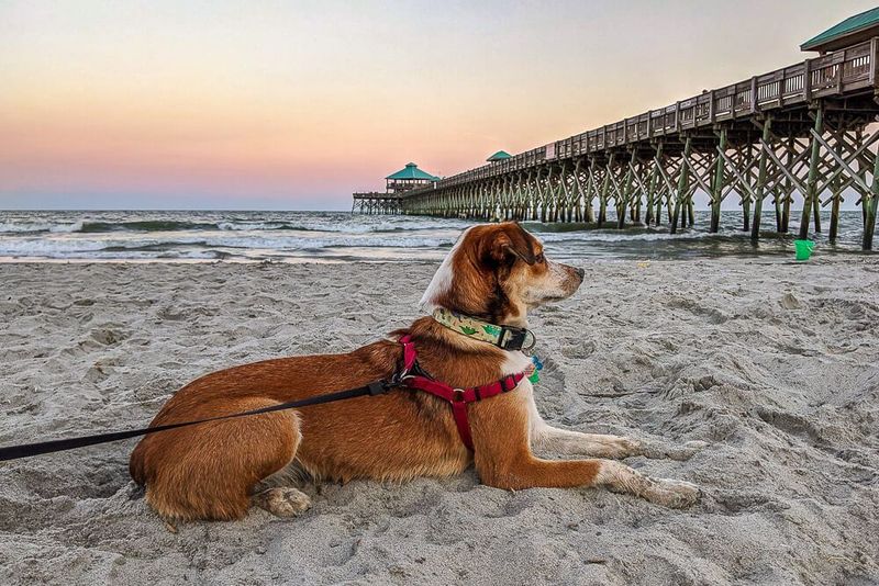 Charleston, South Carolina
