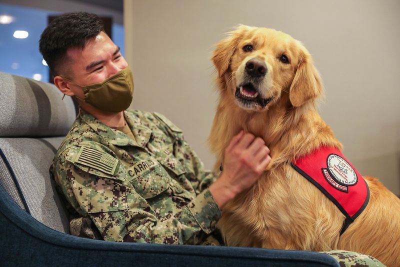 Therapy and Support