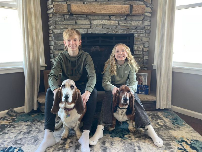 Basset Hound