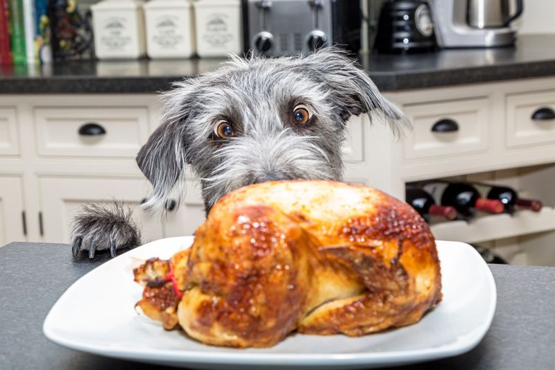 Cooked Chicken