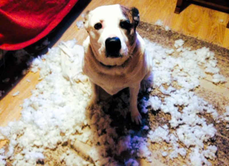 Shedding More