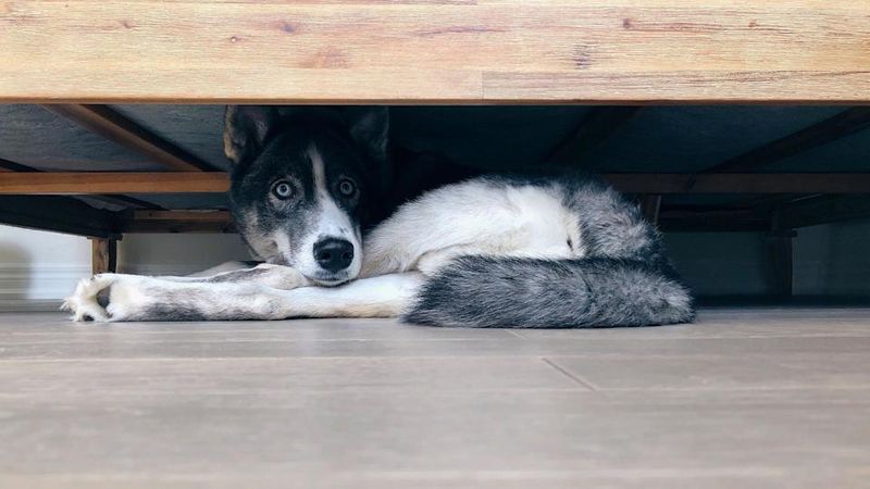Hiding or Withdrawing