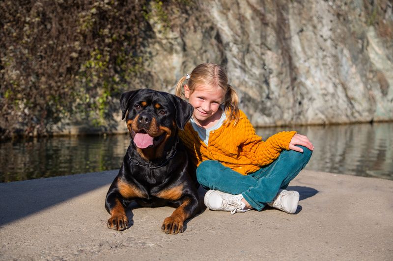 Rottweiler