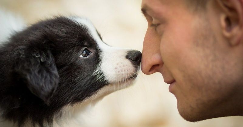 Gentle Nuzzling