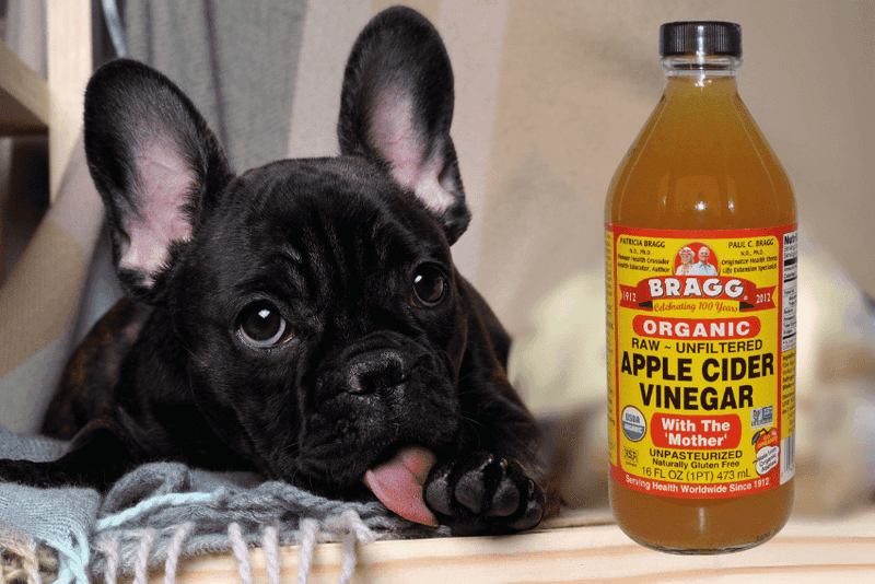 Apple Cider Vinegar Solution