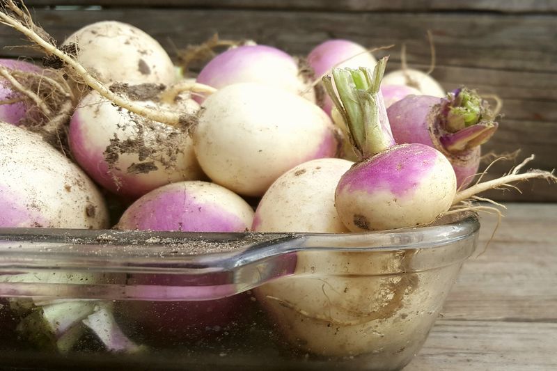 Turnips